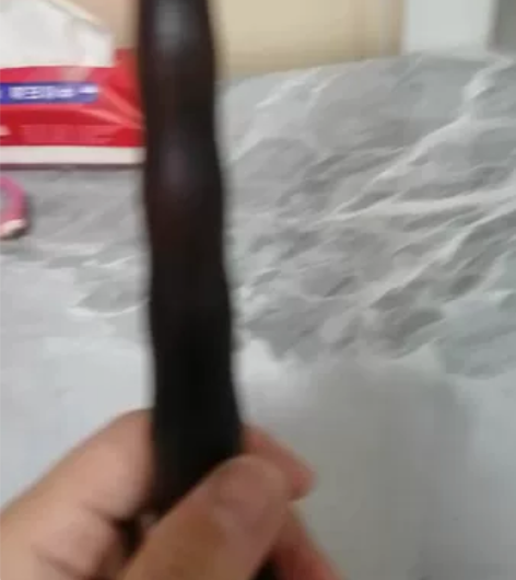 出售 老吴氏c调唢呐 百年老红木,音准好,...