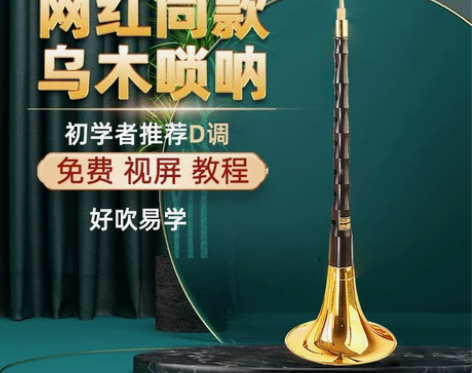 王家彪网红乌木唢呐乐器 全套初学者民族喇叭...
