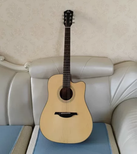 日本雷克斯 孩子买了不愿意学 放家里浪费，...