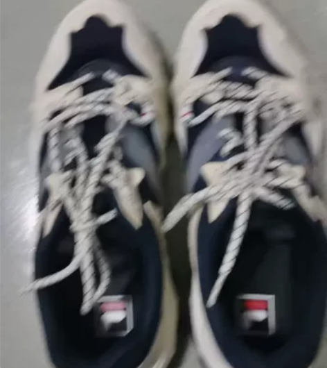 斐乐男鞋 41码数,内长255,大小自己掌...