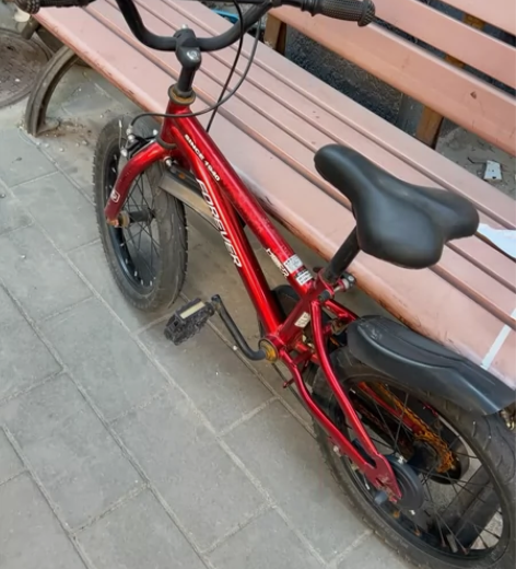 儿童自行车，上海永久，孩子长大了，给钱就拿...