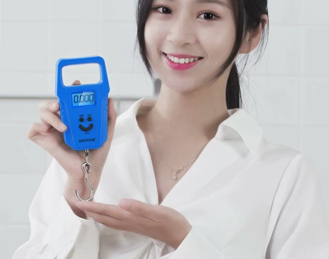 【手提秤】50kg便携式精准电子秤弹簧秤 ...