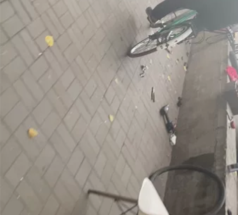 #自行车配件 自行车 飞鸽铁锚26女车，胎...