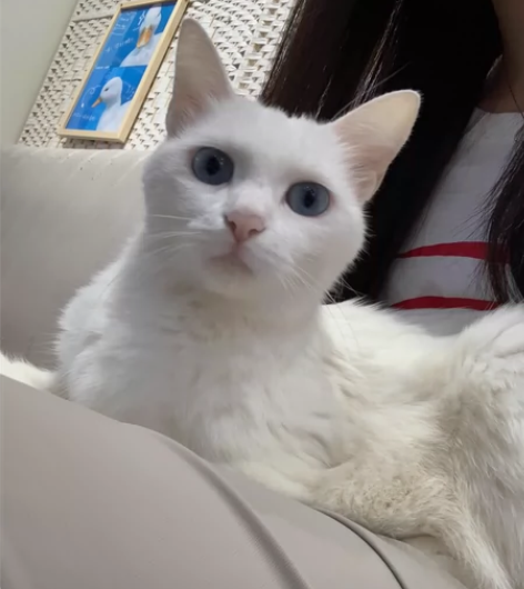 ??画画找我，美术生毕业搞副业～高品质代画...