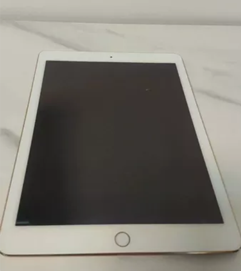 iPad Air2 16g WiFi版土豪...