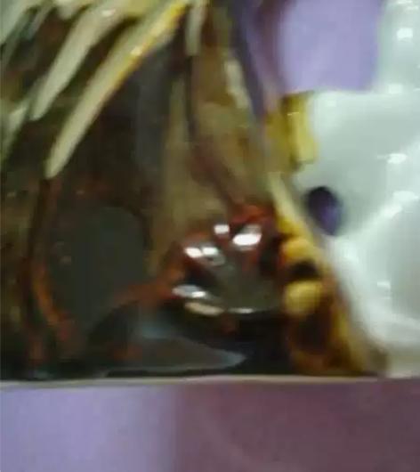 ?老物件 醴陵瓷太平有象温度计摆件 七八十...