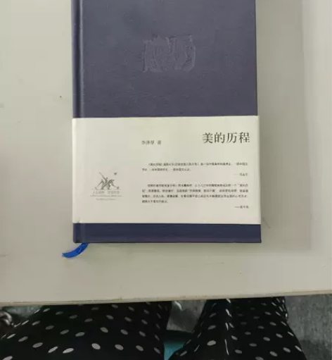 正版二手 美的历程 李泽厚 生活·读书·新...