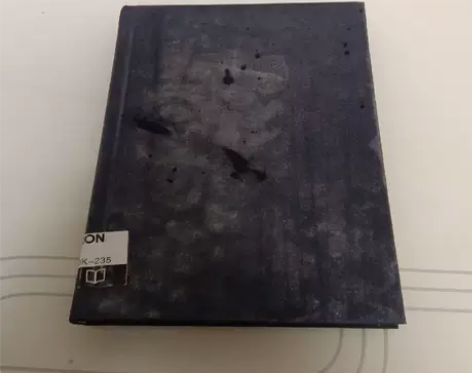 【正版】美的历程 李泽厚 生活·读书·新知...