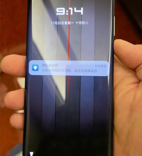 mate60黑色，今天11.20刚从王府井...