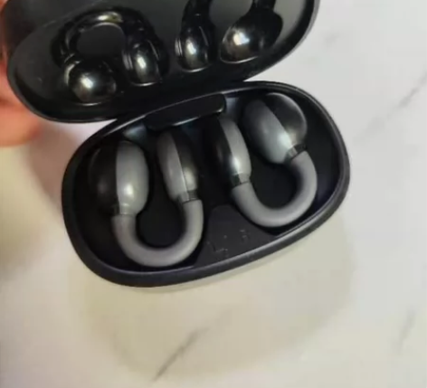 HOLY SERPENT 蛇圣C5真无线蓝...