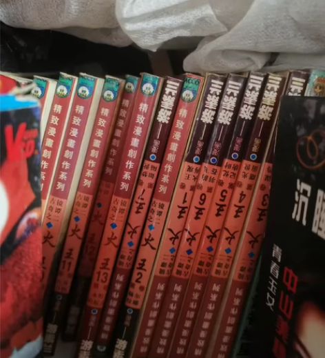 游素兰 火王 国内版，1-13本完结，年份...