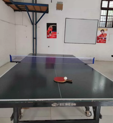 两个乒乓球桌共600元 感兴趣的话点“我想...