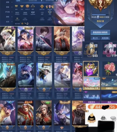 [295皮肤 V9] 天鹅之梦/安卓qq ...