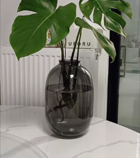 谁要花瓶，大号的还是加厚的，30厘米高，内...