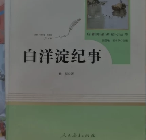 闲置正版《白洋淀纪事》初中必读书，书店原价...