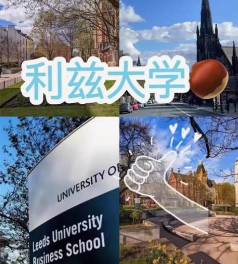 利兹大学金融数学辅 BSc Financi...