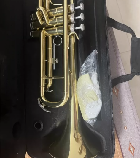 小号，小孩学了一个来月就放在家里了，没有去...