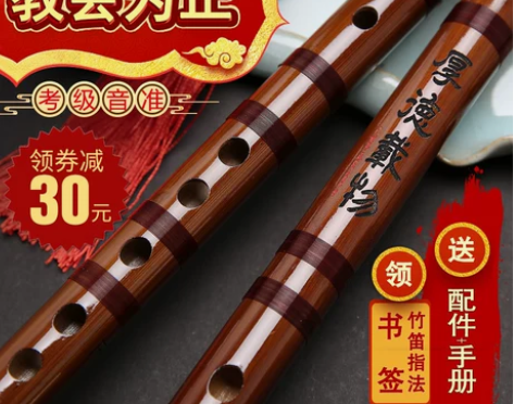 笛子初学零基础入门竹笛儿童成人f调g专业演...