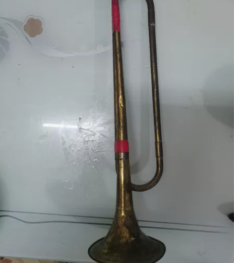 冲锋号长47厘米 感兴趣的话点“我想要”和...