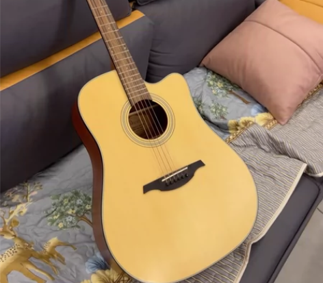 雷克斯入门吉他41寸，19年799淘宝购买...