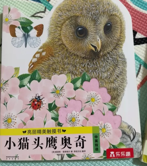 乐乐趣触摸书《小水獭奥斯卡》,《小兔比利》...