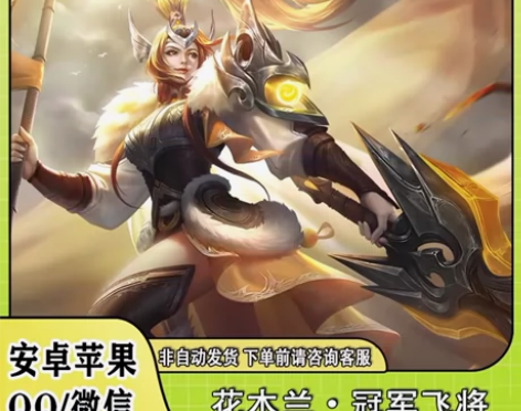 【全区秒发】花木兰-冠军飞将，王者荣耀16...