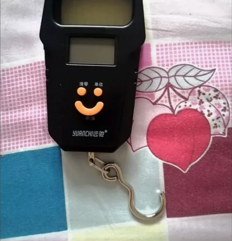 电子秤50KG以下都可以称 包邮，直接拍