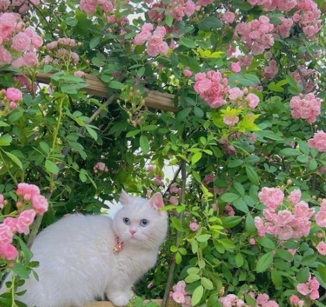 深空之眼业务，啥都干 感兴趣的话点“我想要...