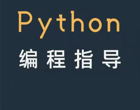 大厂程序员python编程教学，完全根据您...