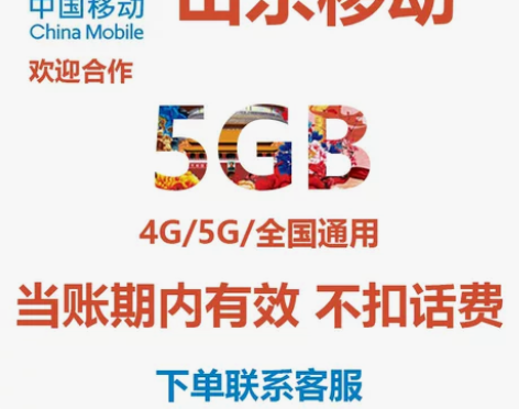 山东移动手机流量充值 5GB 当账期内有效...