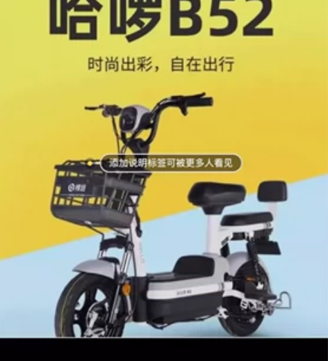 哈啰棒途小旋风 轻微使用痕迹  未解速 最...