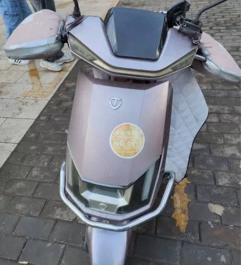 台铃国标电动车,空车!空车!不带电池(不要...