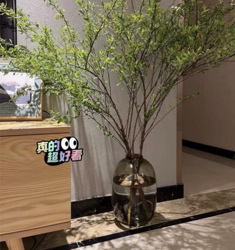 花店不开了，便宜处理剩30个大肚玻璃花瓶客...