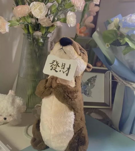 小水獭找家啦！祈福小水獭公仔毛绒玩具仿真娃...