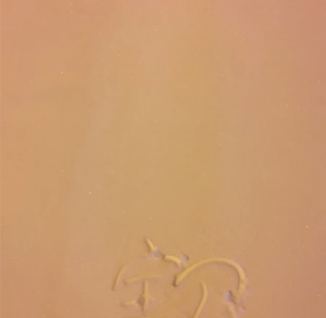 雪地代写开始啦 哈尔滨今天开始下雪了 可以...