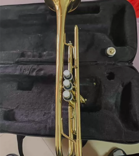 金甲虫小号，0081133，功能完好，有使...