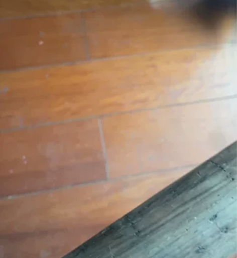 老红木唢呐料，不讲价 感兴趣的话点“我想要...