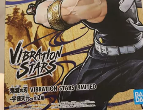 万代 眼镜厂 vs VIBRATION S...