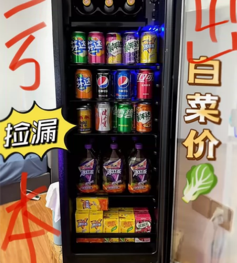 低价亏本捡漏荣事达美菱冰吧小型家用冰吧办公...