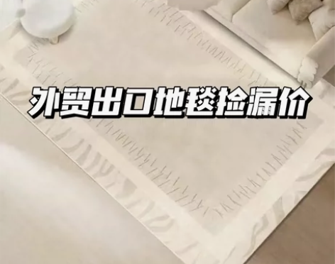 【捡漏】地毯轻奢风客厅家用现代简约北欧沙发...