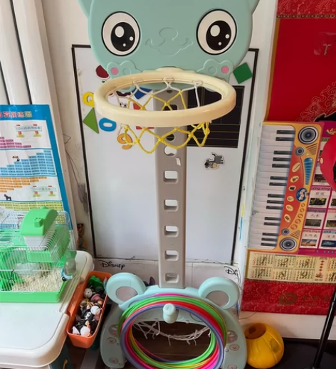 可升降篮球架，闲置出，仅限自提 感兴趣的话...