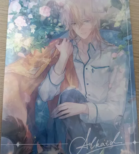 【正版】时空中的绘旅人路辰520系列光栅卡...