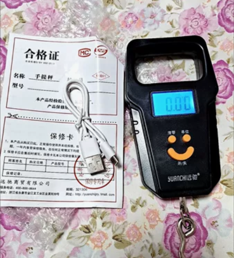 远驰手提秤50KG电子秤家用吊钩精准称重1...