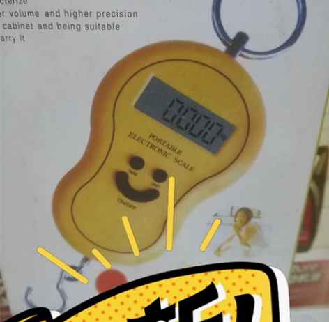 便携手提电子称，需要的金禾湾自提。 感兴趣...