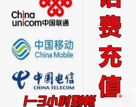 全国三网可充，一般1-180分钟内到账，个...