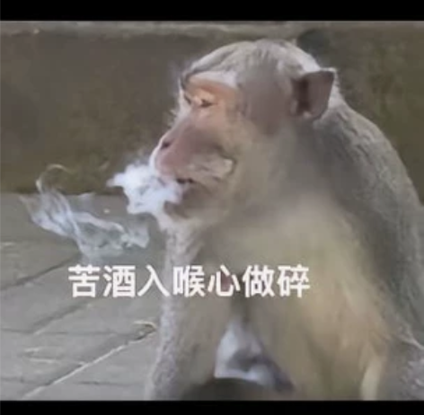 服装设计与成衣制作 | 原创设计及定制 |...