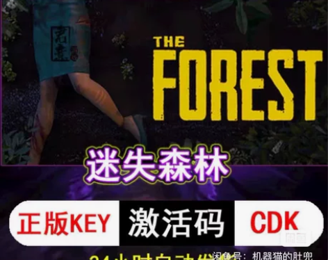 迷失森林  pc单机 激活码激活代码本体+...