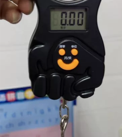 20斤秤克手提电子秤便携式小型高精度迷你精准弹簧称家用电子称...