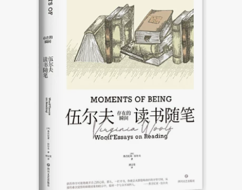 存在的瞬间：伍尔夫读书随笔（天才作家，另类...