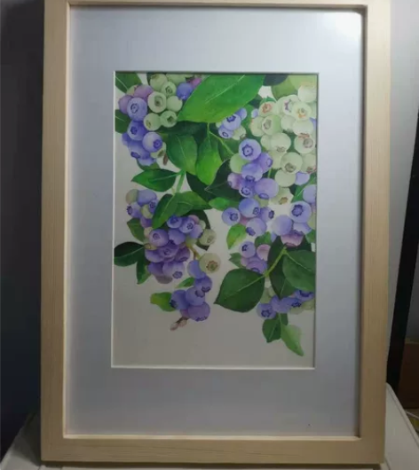 日常水彩练习作品，不带框，已过塑！16k大...